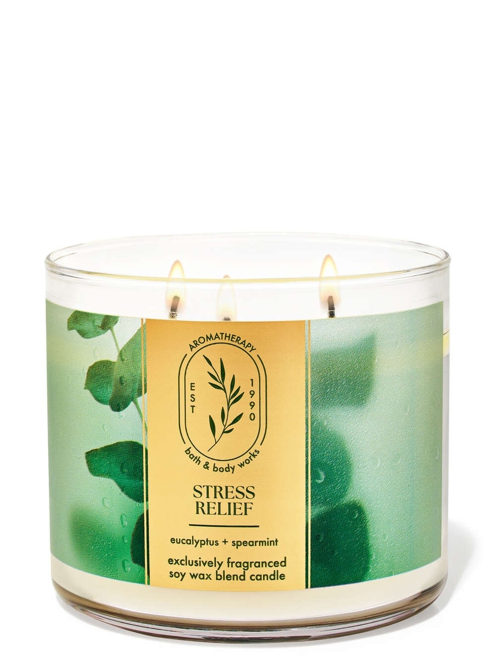 Bath & Body Works Eucalyptus Spearmint Aromatherapy Stress Relief Candle